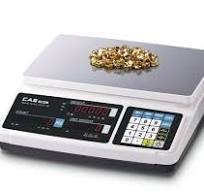 Heavy Duty Platform Scale